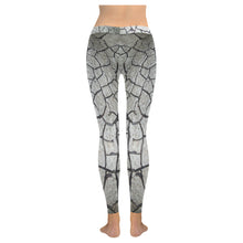 Load image into Gallery viewer, Crackle Low Rise Leggings (Invisible Stitch) (Model L05)