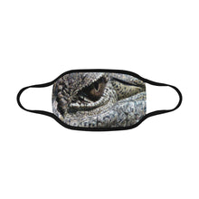 Load image into Gallery viewer, Crocodile Eye Mouth Mask (Pack of 3)