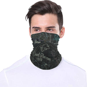Painted Skulls Glowing Multifunctional Headwear