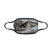 Load image into Gallery viewer, Crocodile Eye Mouth Mask