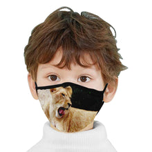 Load image into Gallery viewer, Sleepy Lioness Mouth Mask (2 Filters Included)