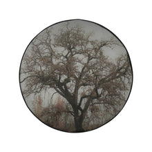 Load image into Gallery viewer, Spooky Tree 34 Inch Spare Tire Cover