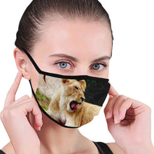 Load image into Gallery viewer, Sleepy Lioness Mouth Mask (2 Filters Included)