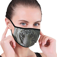 Load image into Gallery viewer, White Tiger Mouth Mask