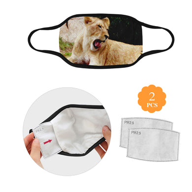 Sleepy Lioness Mouth Mask (2 Filters Included)