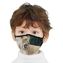 Load image into Gallery viewer, Sleepy Lioness Mouth Mask (Pack of 3)